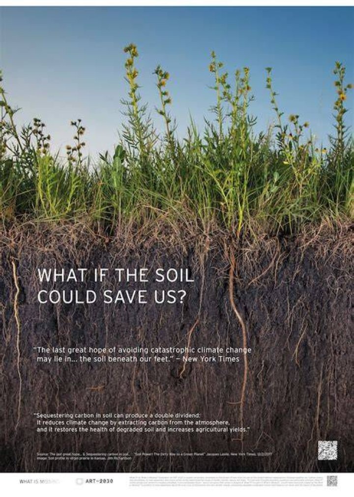 What is missing foundation Maya Lin?