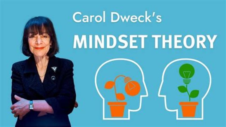 What is not Carol about?