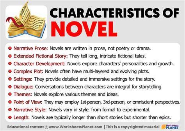 What is novel English literature?