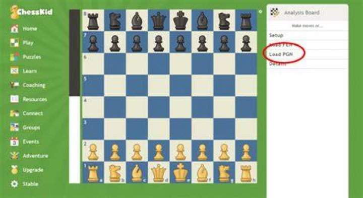 What is PGN copy Chess?