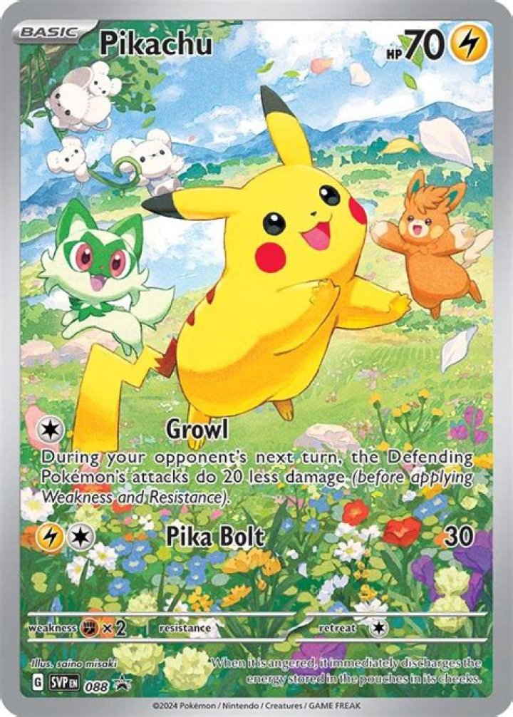What is Pikachu's favorite fruit?
