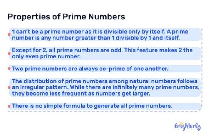 What is prime number in math?