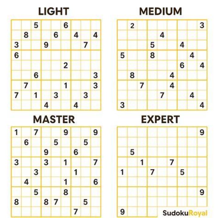 What is Sudoku 16×16?