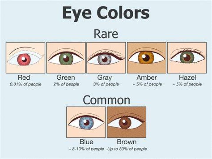 What is the 2nd rarest eye color?