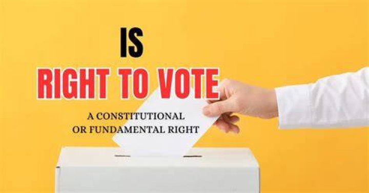 What is the ability to vote called?