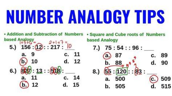 What is the analogy of number?