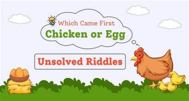 What is the answer to the egg riddle?