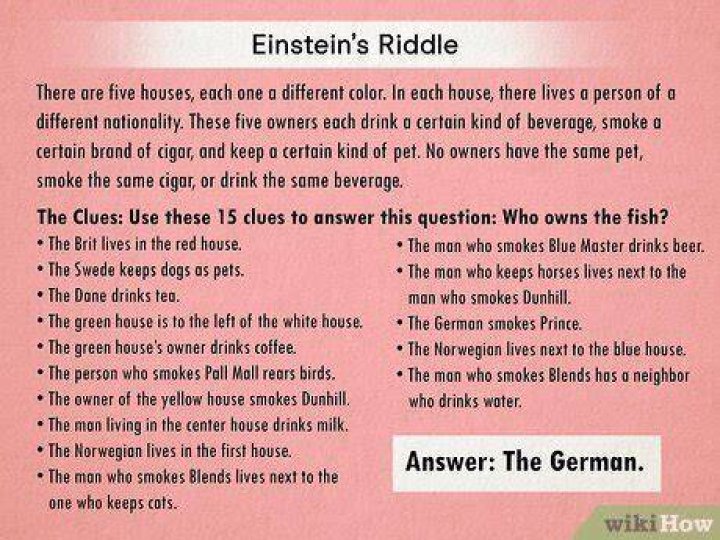 What is the answer to the Einstein riddle?
