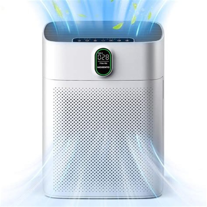 What is the best air to breathe?