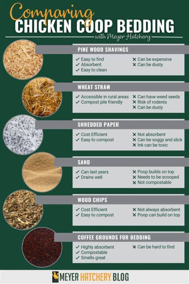 What is the best bedding for chickens?