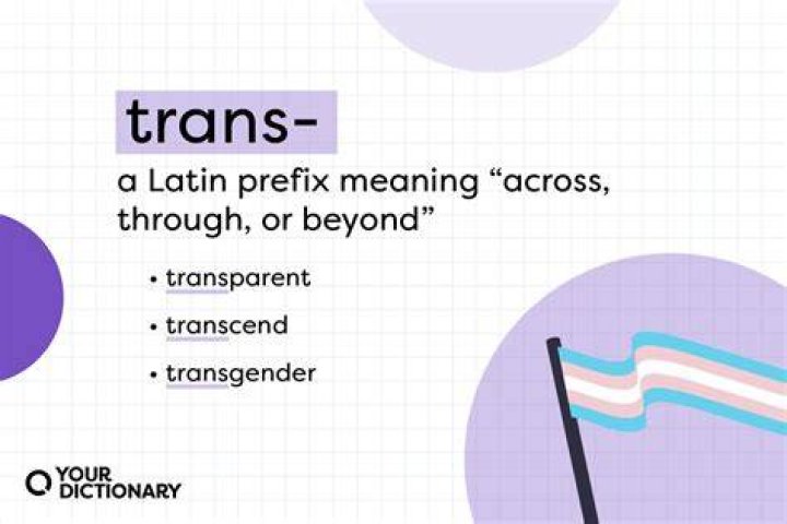 What is the definition of the word transcended?