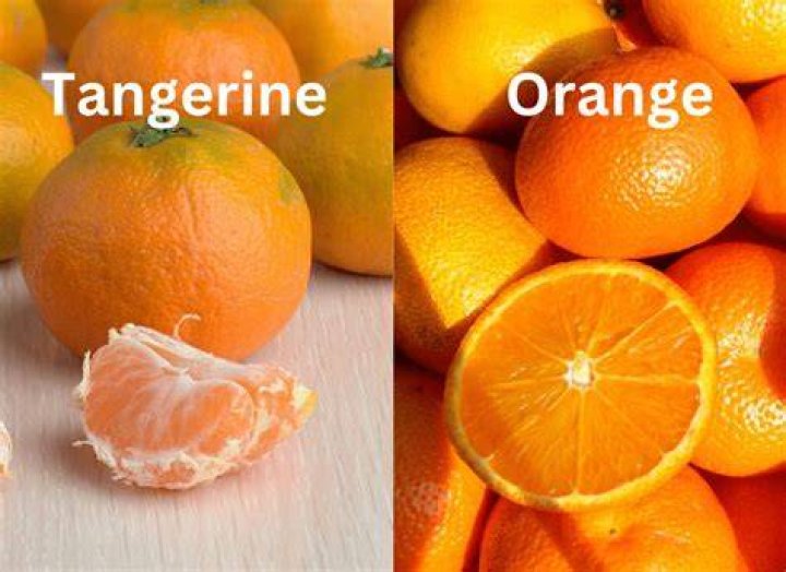 What is the difference between infrequent and rare?