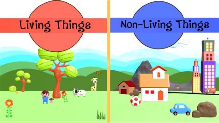 What is the difference between live and online?