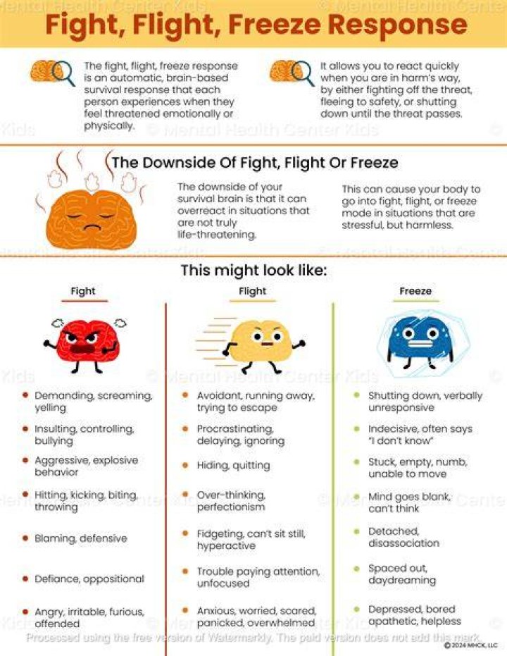What is the freeze in fight or flight?