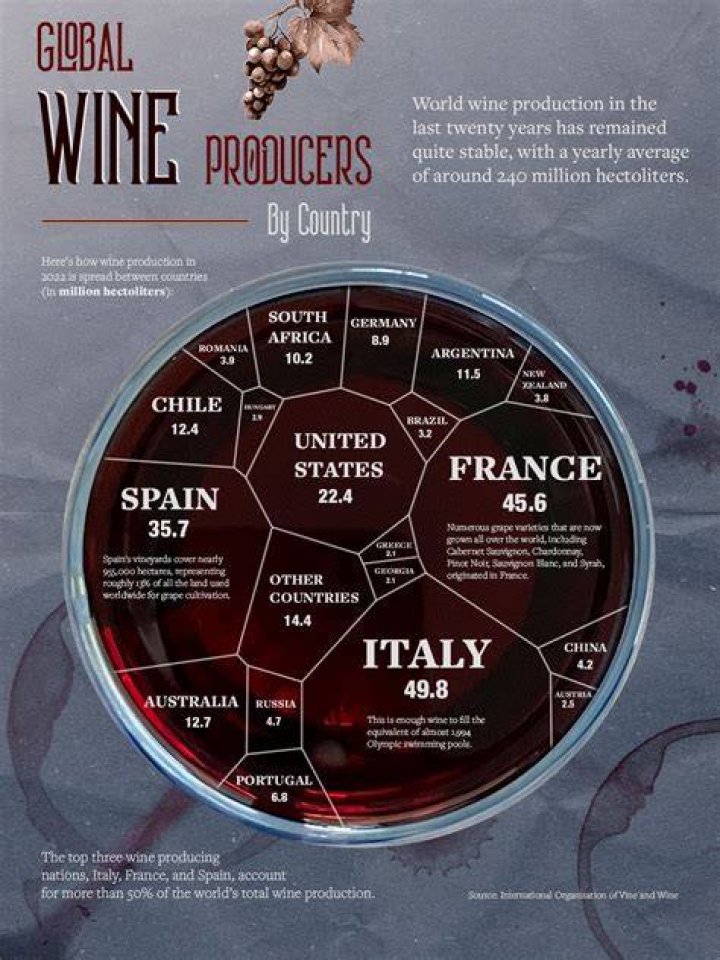 What is the largest wine company in the world?