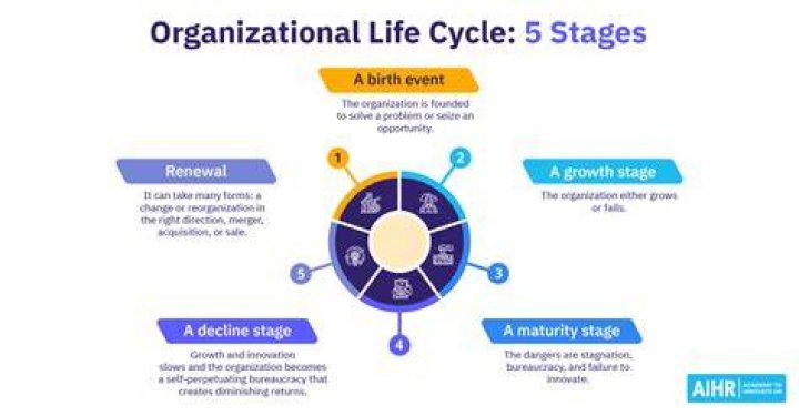 What is the latest cycle?