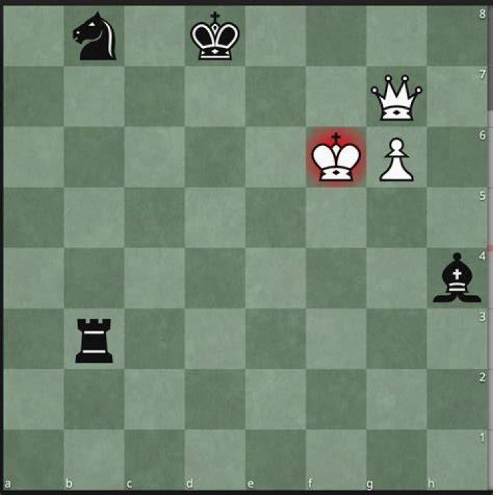 What is the longest mate in chess?