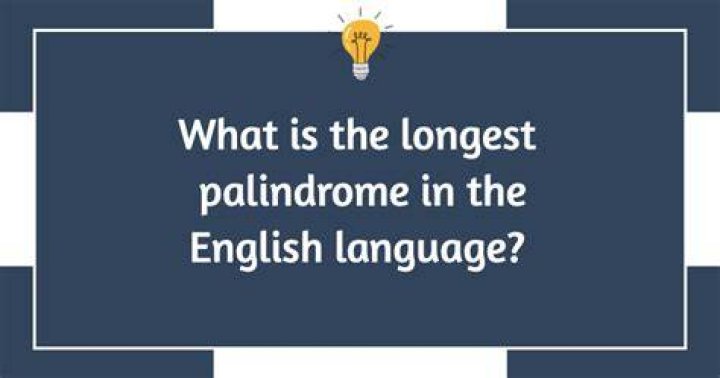 What is the longest palindrome book?