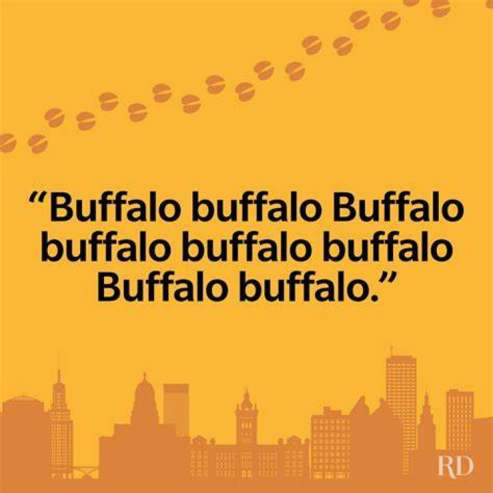 What is the longest sentence with one word?