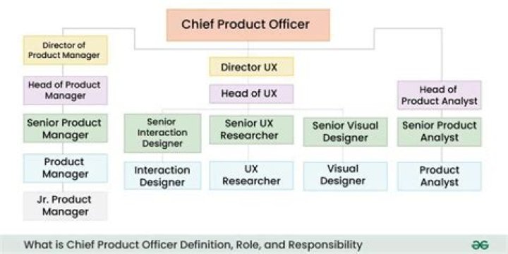 What is the meaning CPO?