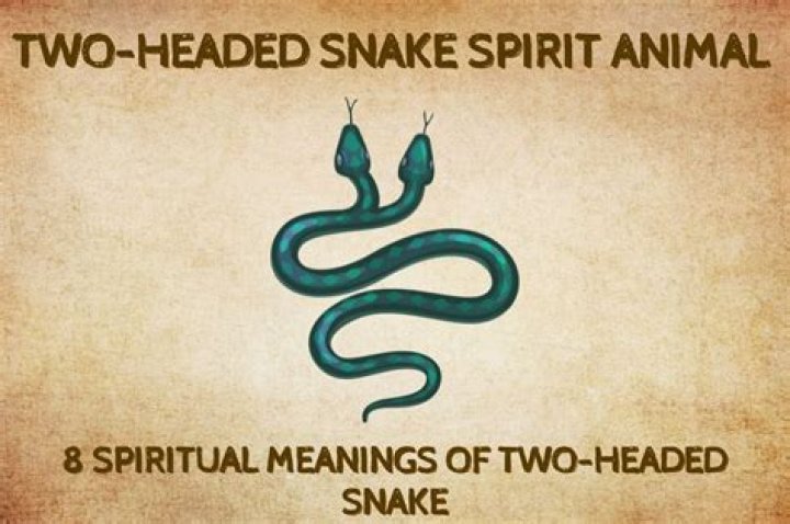 What is the meaning of a double headed snake?