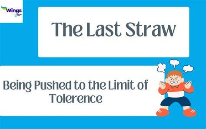 What is the meaning of idiom the last straw?