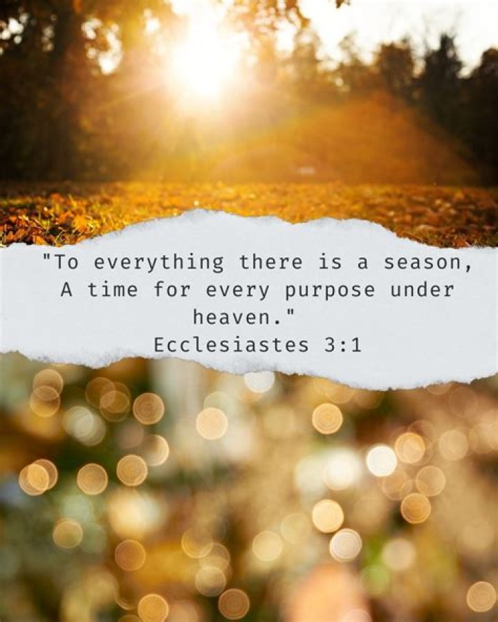 What is the meaning of to everything there is a season?