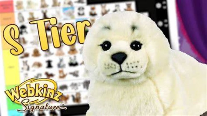 What is the meaning of Webkinz?