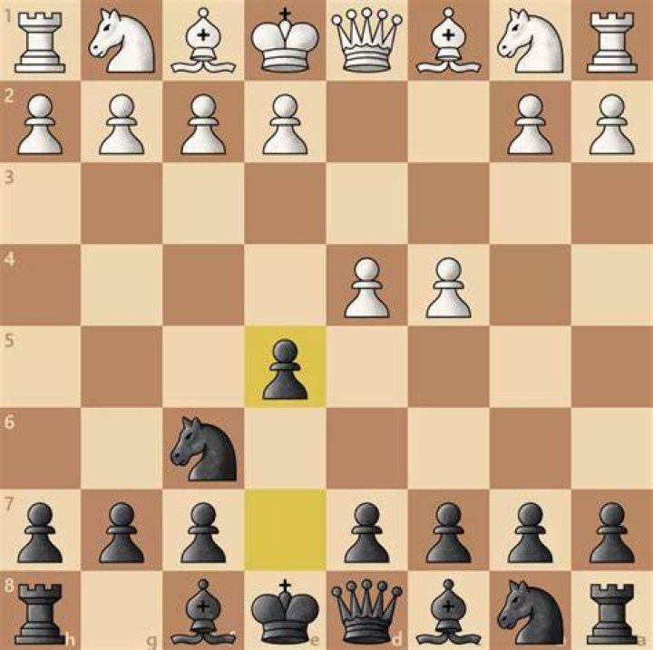 What is the most aggressive chess opening for black?