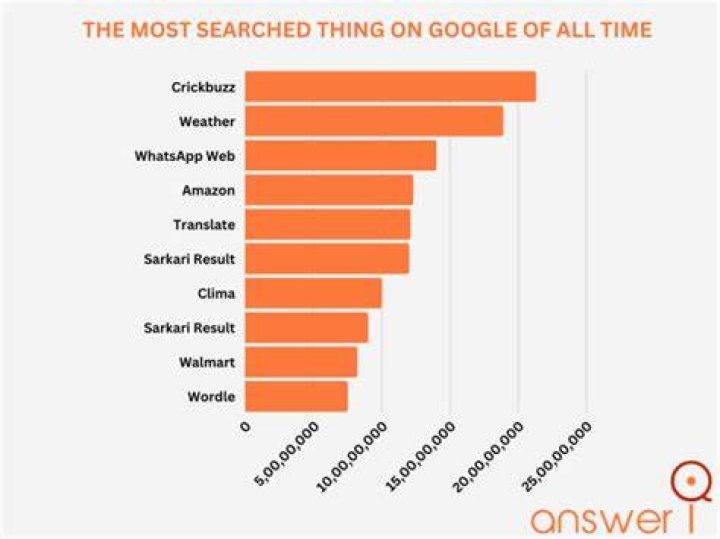 What is the most frequently searched thing?