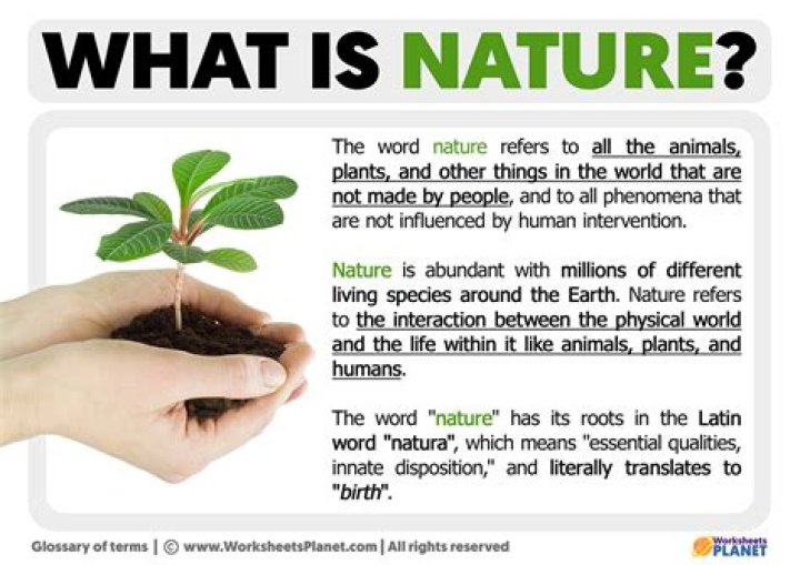 What is the nature of music?