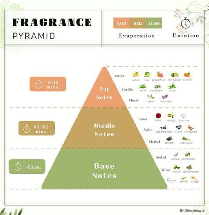 What is the number 1 fragrance in the world?
