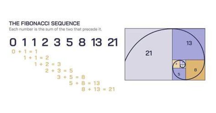 What is the number series?
