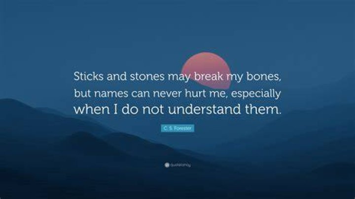 What is the old saying sticks and stones may break my bones?