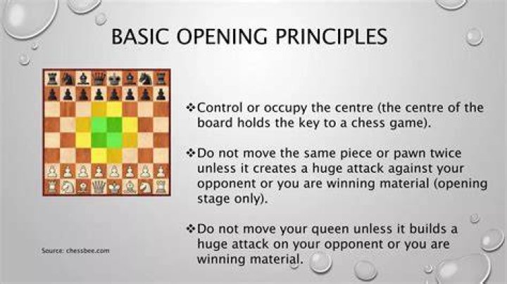 What is the opening principles in chess?