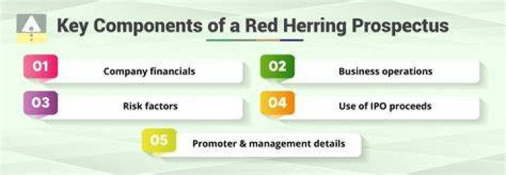 What is the purpose of a red herring prospectus?