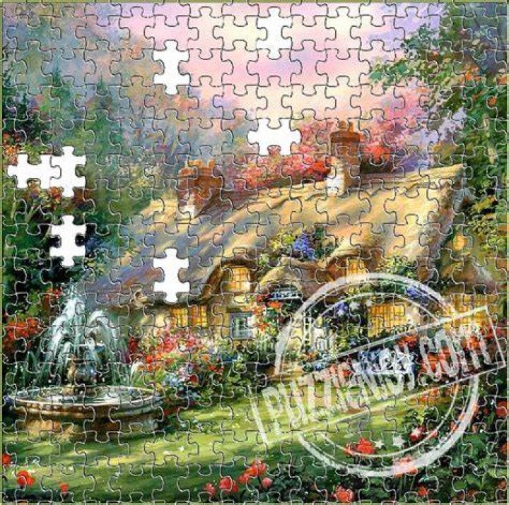 What is the puzzle of the day?