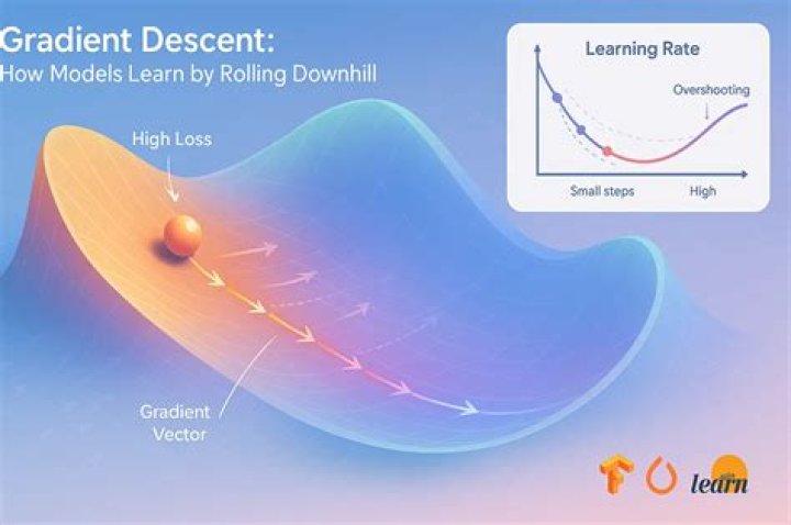 What is the role of learning rate α in gradient descent?