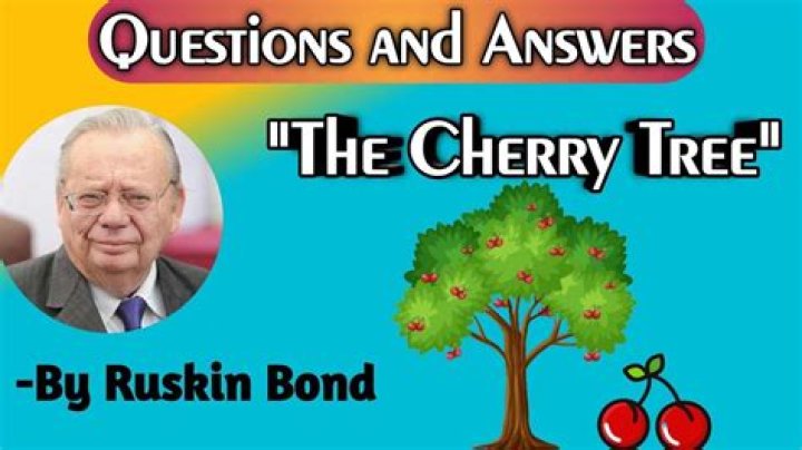 What is the story of the cherry tree?