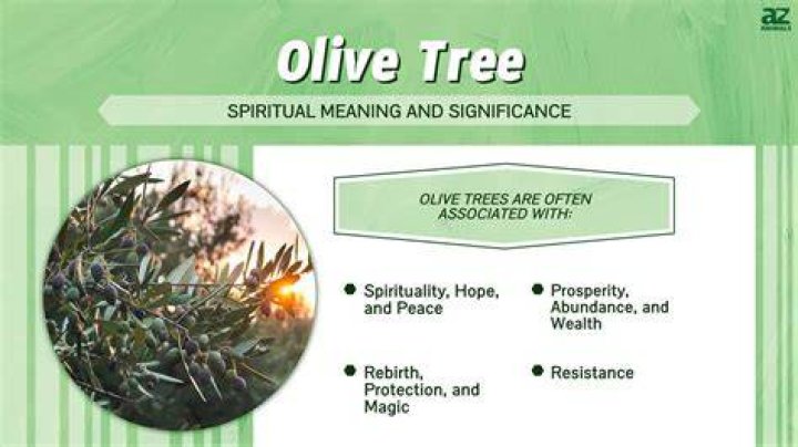What is the symbolism of the olive tree?