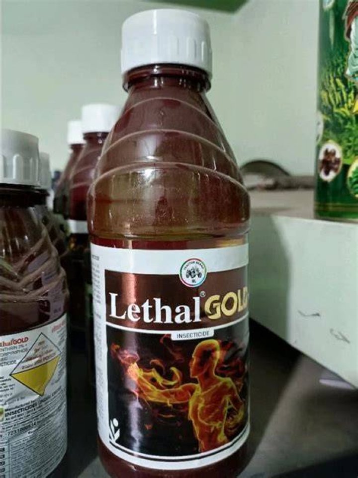 What is the use of lethal insecticide?