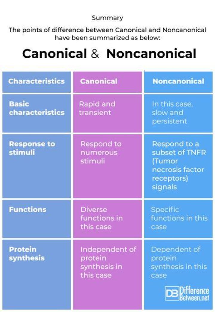 What is the word canonical means?