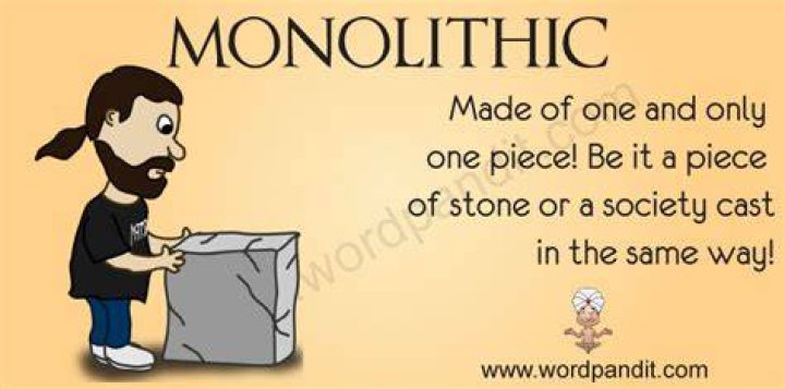 What is the word monolithic means?