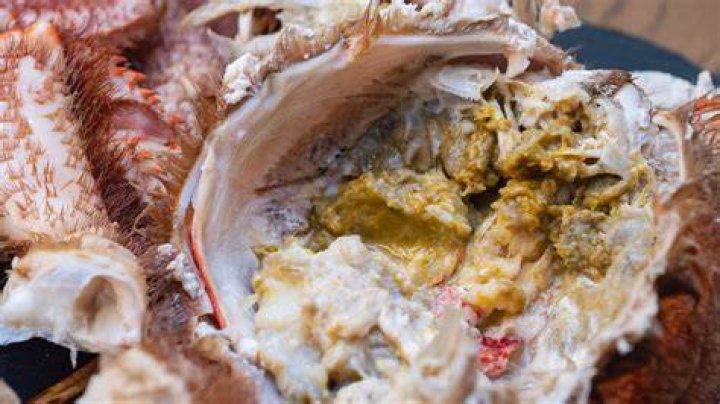 What is the yellow stuff in a lobster?