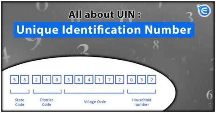 What is unique about numbers?
