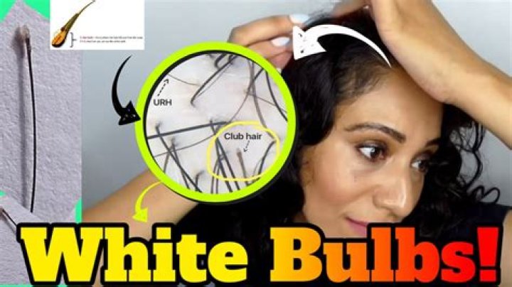 What is white bulb at end of hair?
