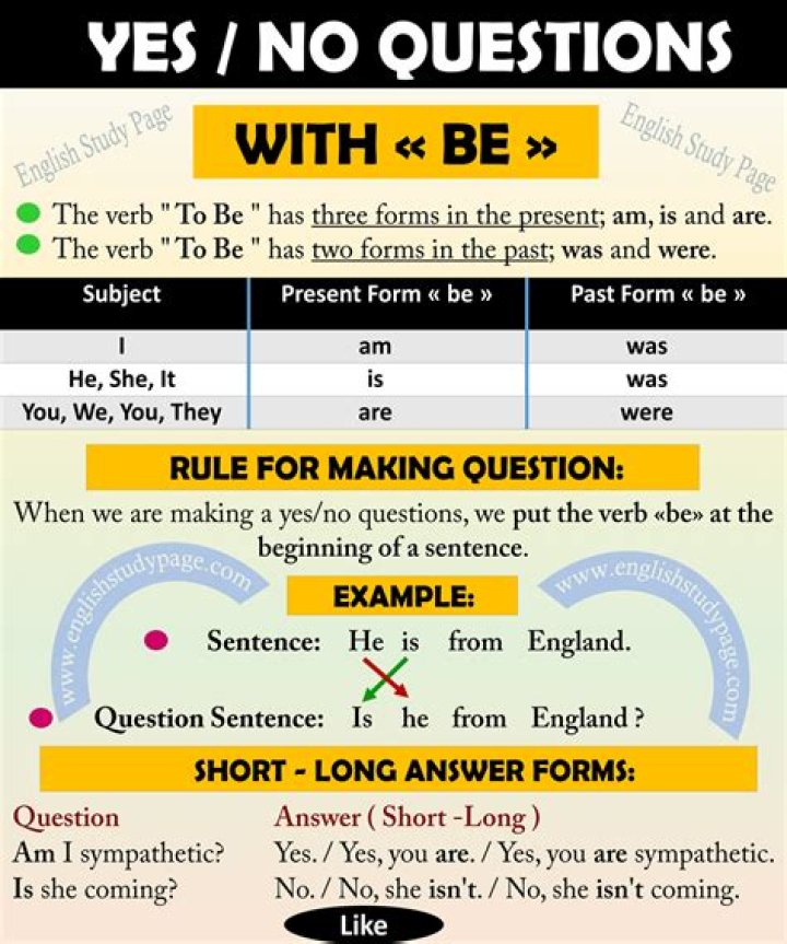 What is yes no question with example?