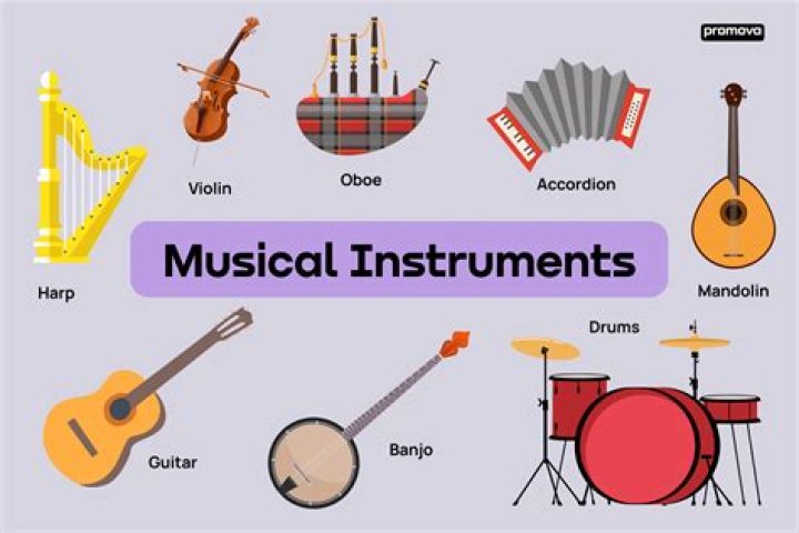 What is your musical instrument?