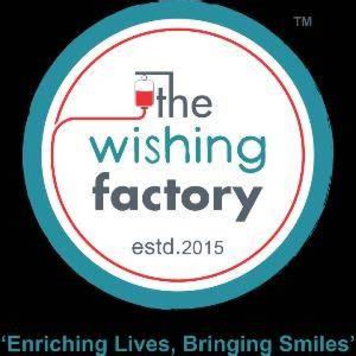 What kind of organisation is the wishing factory?