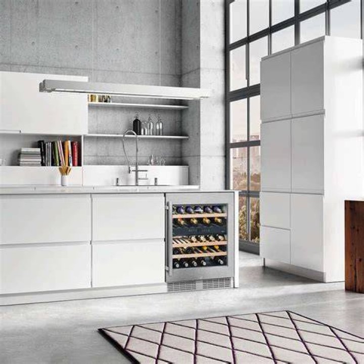 What kind of wine goes in wine fridge?